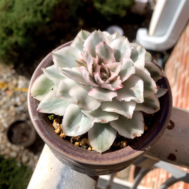 9ccc302d-c32c-41ce-933d-6416abd60d9d