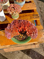 8a51dc23-0a49-42f4-b2fe-28db3bf476e6