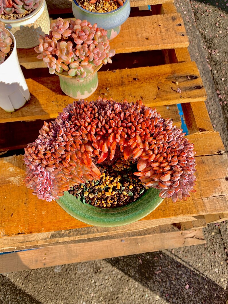 8a51dc23-0a49-42f4-b2fe-28db3bf476e6