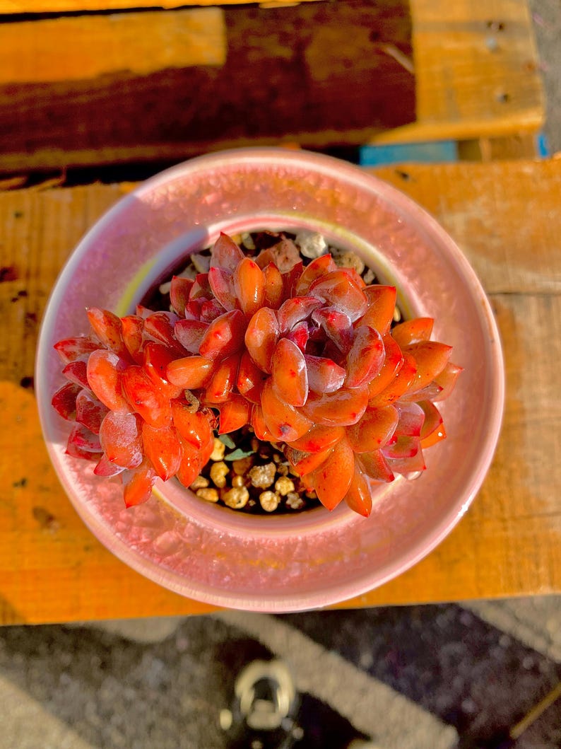 0ea84717-7dc0-4ad9-9f3d-45cdfcee404f