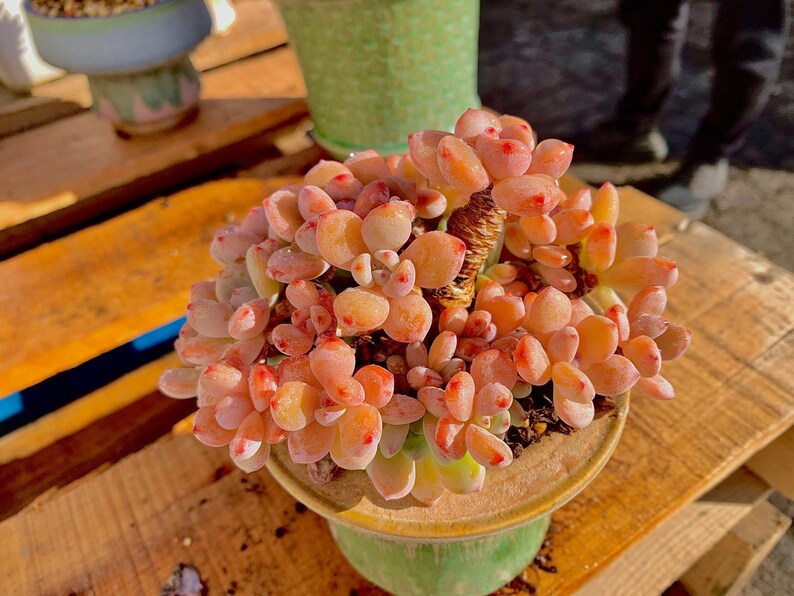 43e7ff76-b4fe-4091-b72d-db760a7ff0fc