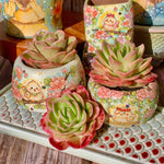 b60a308f-d9a2-4519-b2ce-33bbabf0e70a