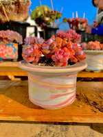 b59c4661-4672-4569-a11e-15282eb052e0