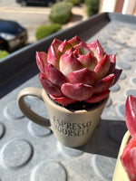 ef34d134-91e4-4771-8605-f8b360b80fa2