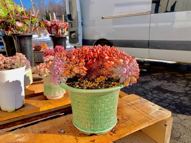 2ff6cde3-41ef-4ae9-9bb3-fe3032af45b8