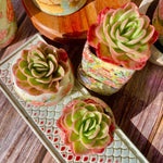 a448295c-4983-4032-aead-ff58802898a2