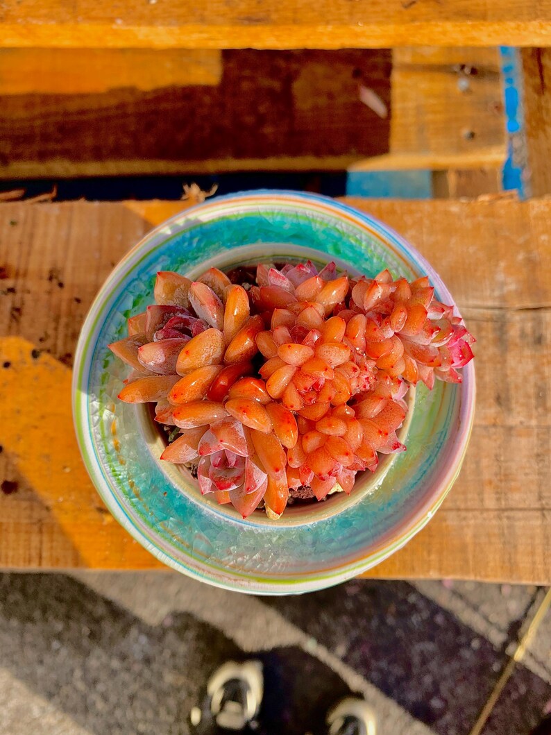 98187da9-44bf-4d13-ad07-d2f3b10b5709