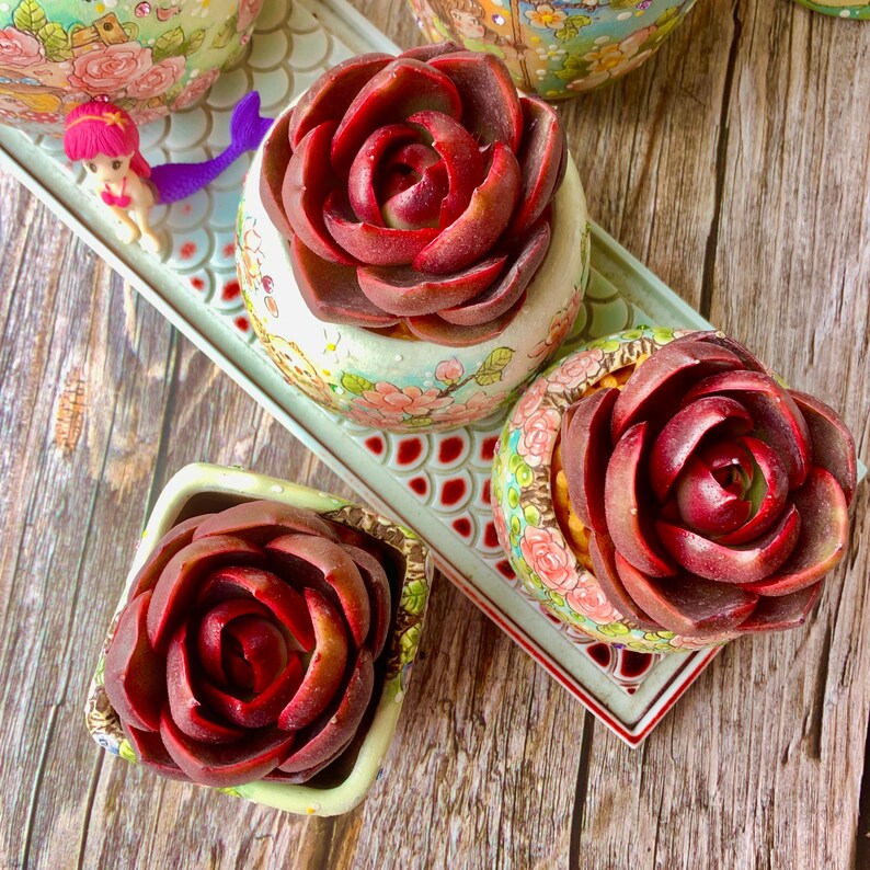 7e5c3484-4c13-4a6e-8636-896987c9b445