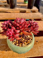 9f60aabd-490b-4ad9-b9aa-79013d0e3e82