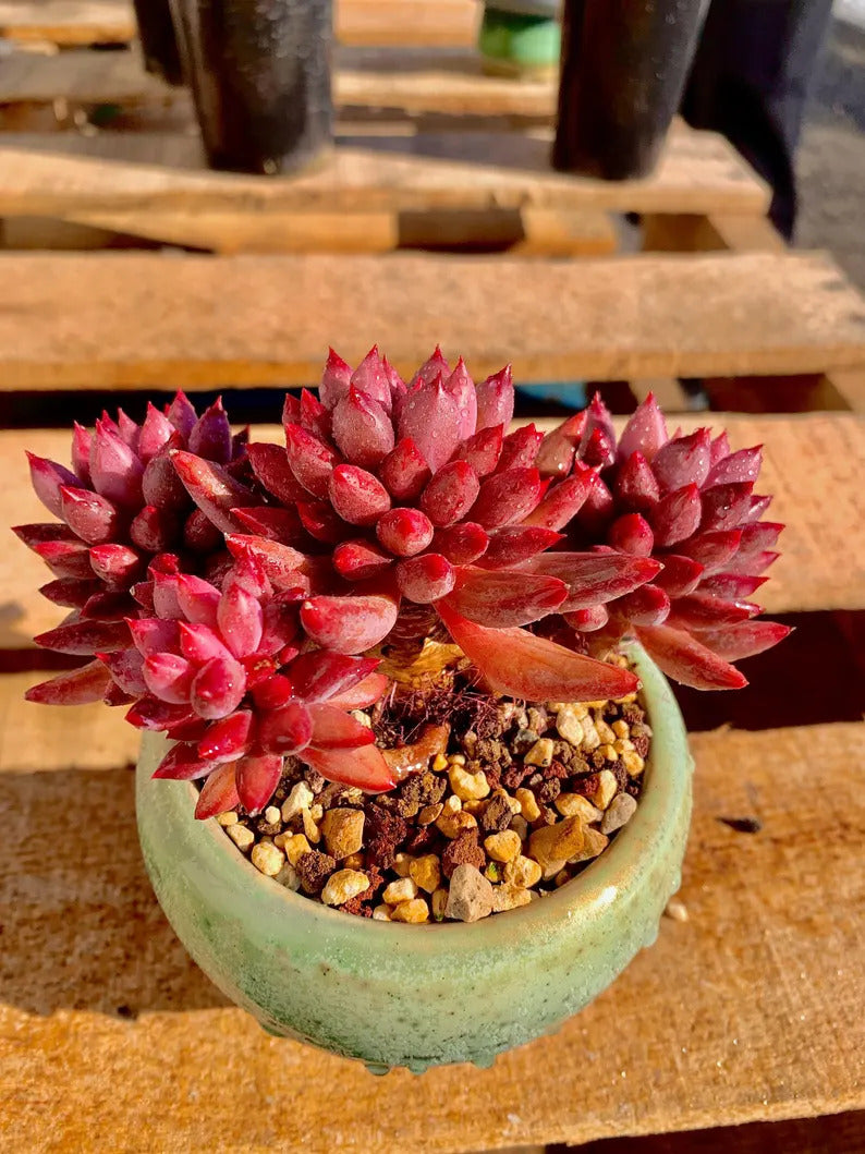 9f60aabd-490b-4ad9-b9aa-79013d0e3e82