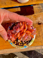 2b67c50a-bb83-4d0d-873d-ede4b35aba21