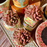 2dda8dec-ece7-4230-8db4-f3df2fb8be92