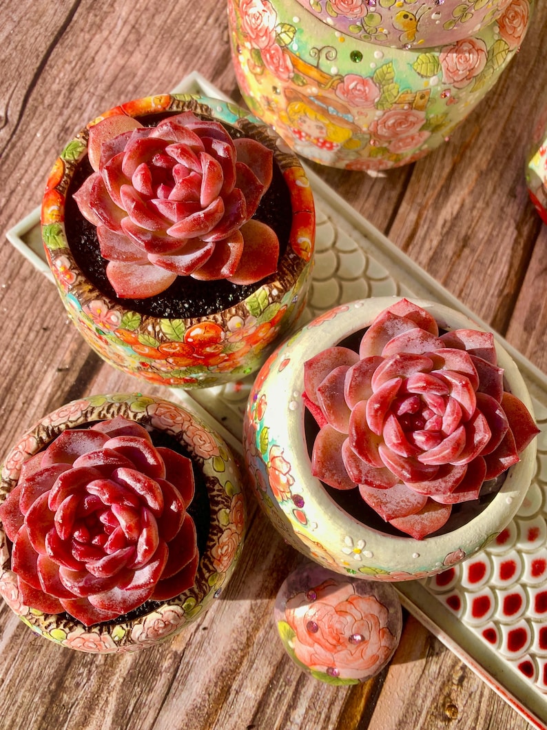 1e17c8e1-ddcc-4948-a258-1d534c968647