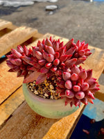 a61e1071-13f0-4cfe-88b4-8ebc0021a532