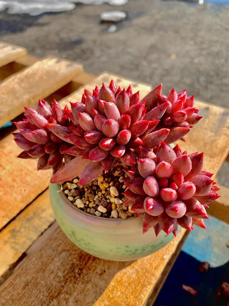 a61e1071-13f0-4cfe-88b4-8ebc0021a532