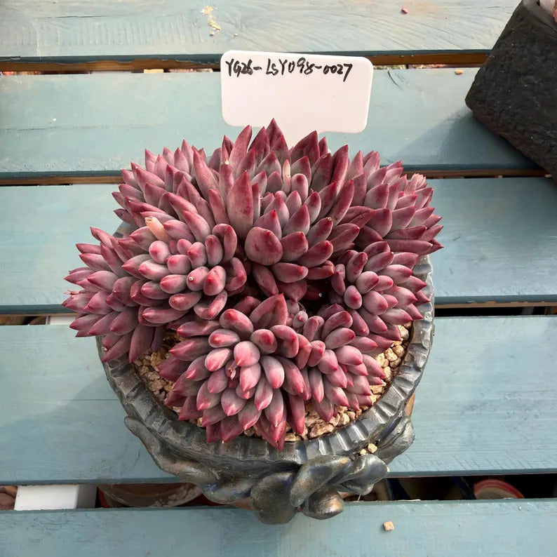 425aa260-ede2-4e16-b460-686f3f5f5e62