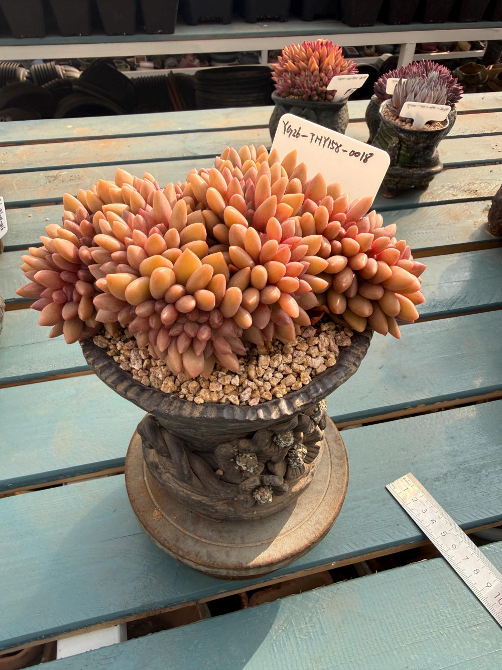 fc68bab3-9ba7-4bbc-9a72-49dcb272b69b