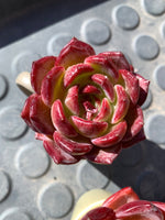 efa85617-7ad3-4240-898f-017efb143280