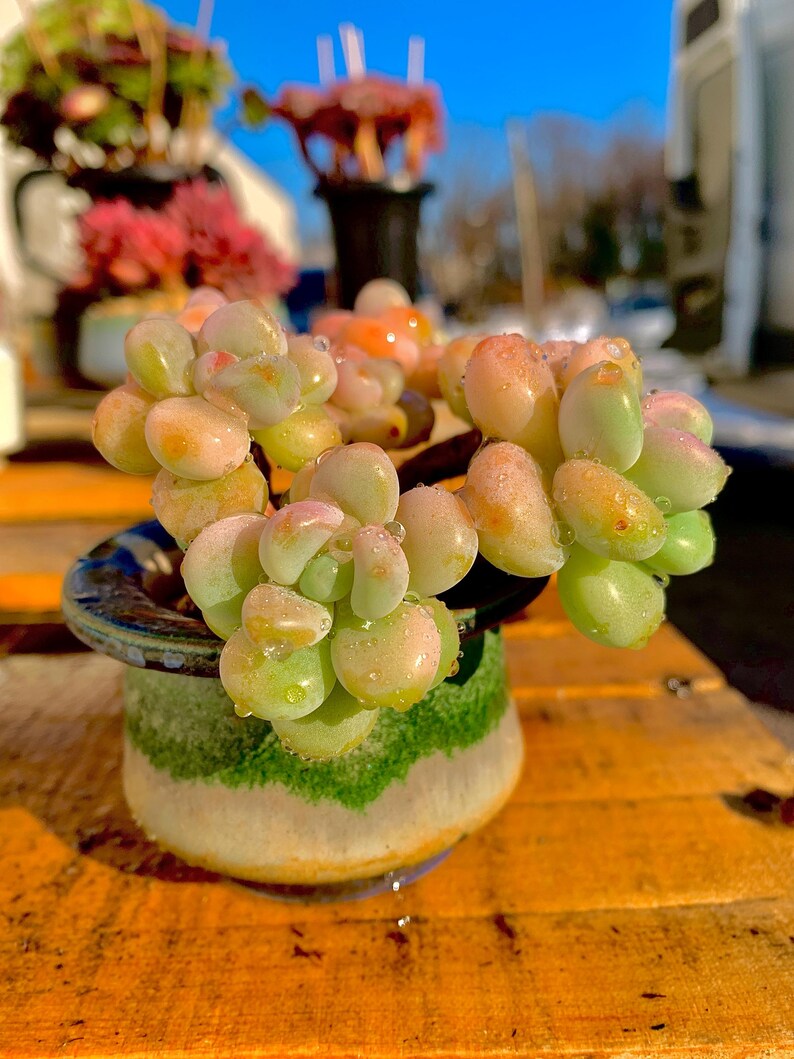 d57f3af1-2d91-459b-81b1-259b707099f1