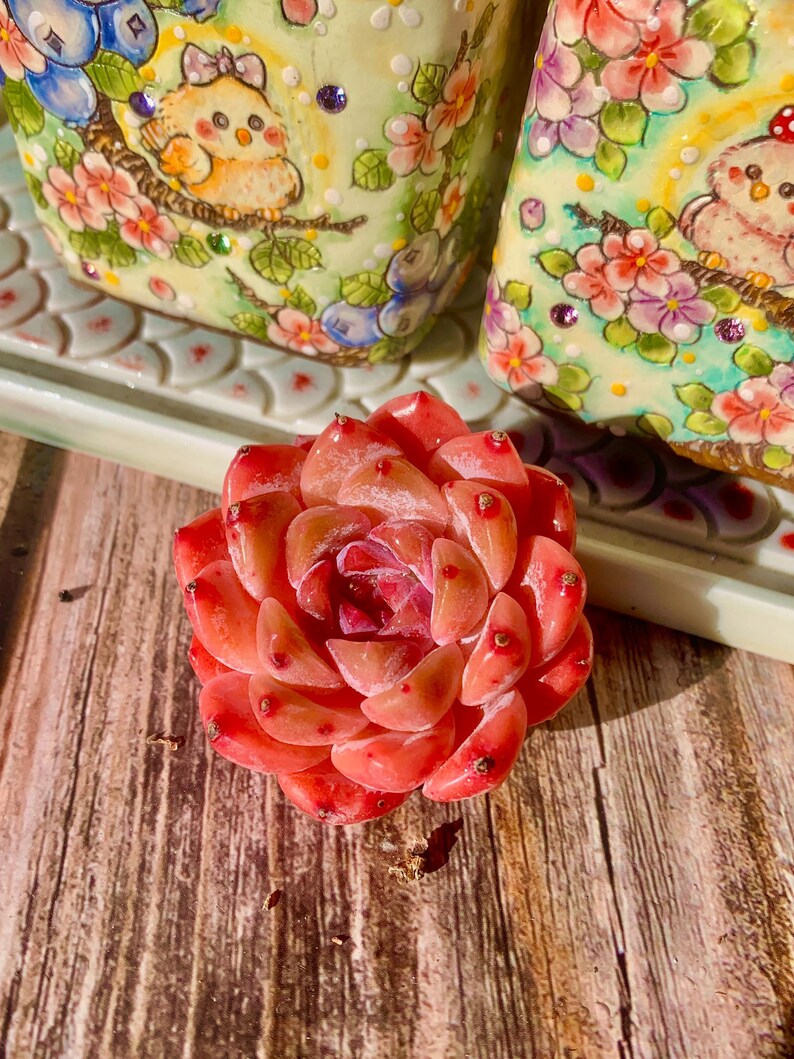 424e715f-2129-4845-a280-f28b966e2ee9