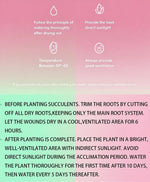 5fbd5d7b-7d43-482f-90b2-41f47712902b