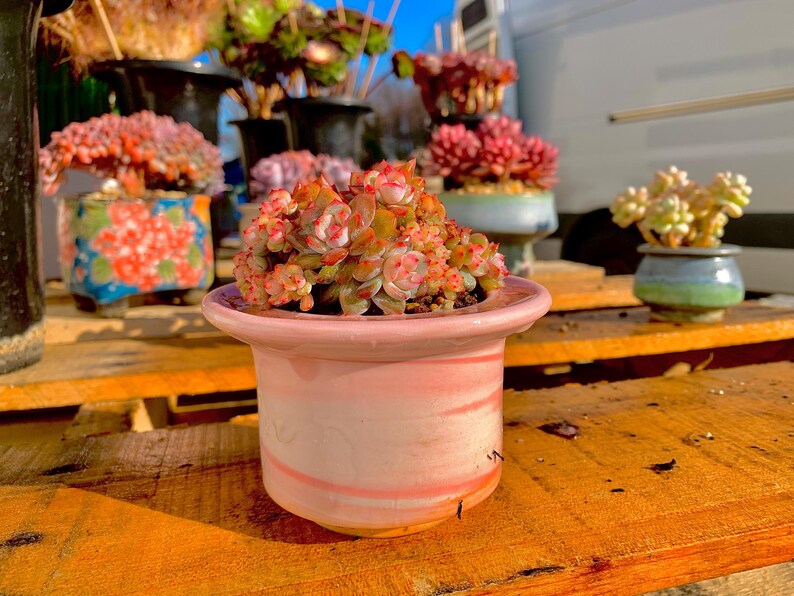 410f9f8e-a227-4266-be48-1d3738e9a83a