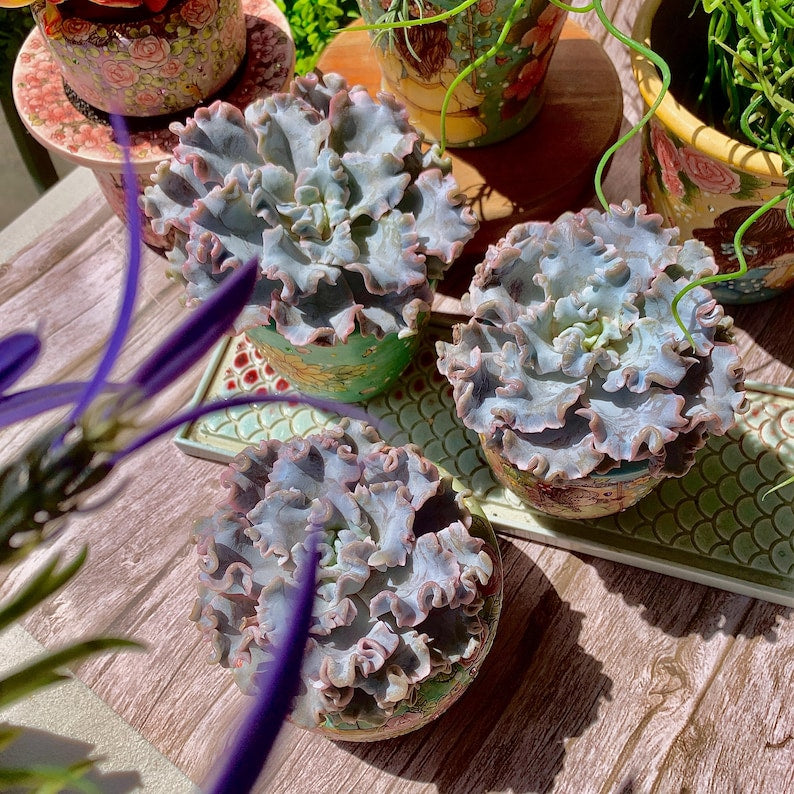 db89c674-c7ad-4b84-b600-b0e585d2c60f