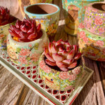 c92d0673-71bc-42b9-8274-930e3e69689a