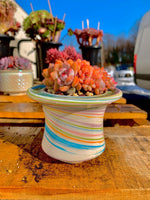 97420dd9-4b67-470a-89c5-e4160eb6057e