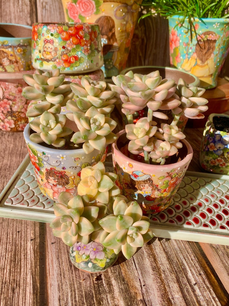 5e5747e7-69f5-4d92-aac2-5b4abd8a55f5