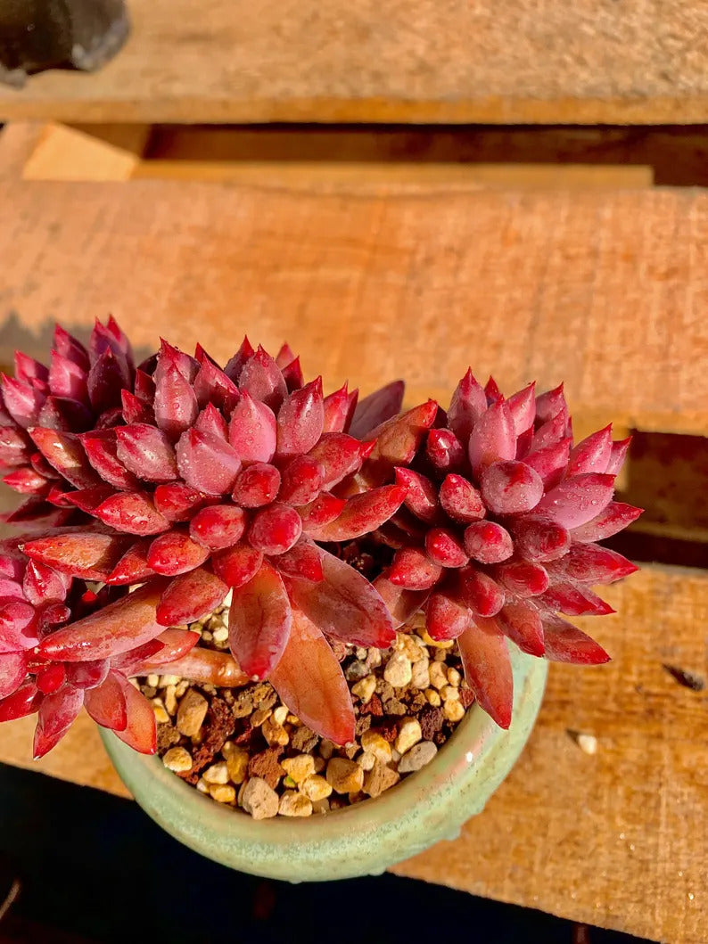 7c5d728c-ef4e-44bf-93cb-68dbb5604146