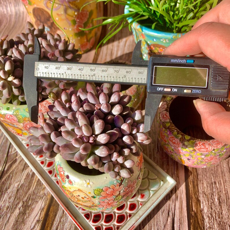 e3174bf7-a05b-4944-8a4f-dc2c1d0f2f03