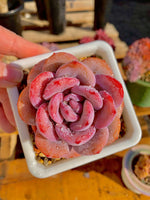 a5a99412-195e-4d1f-b5ac-5854c1322bf8