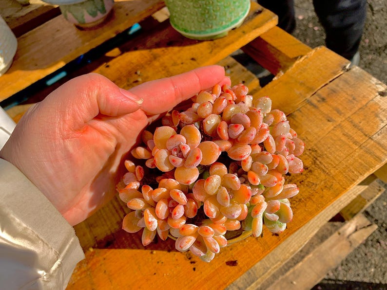 b029780a-a813-4ffe-854d-a3c982e18316