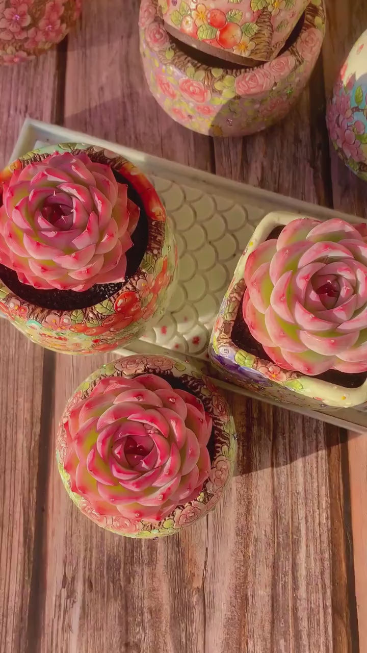 Pet-safe Succulent - Echeveria 'Silhouette' - Classic Rose-shaped Rosette Plant