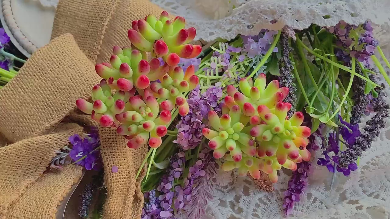 Jelly Beans Plant - Sedum Pachyphyllum Clustered Multi-stemmed Succulent - Less Care Than Stone
